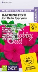 Цветы Катарантус Хит Вейв Бургунди (5 шт) Семена Алтая 