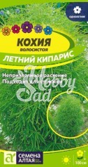 Цветы Кохия Летний Кипарис (0,2 г) Семена Алтая