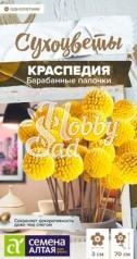Цветы Краспедия Барабанные палочки шаровидная (0,05 г) Семена Алтая
