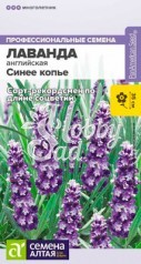 Цветы Лаванда Синее копье узколистная (5 шт) Семена Алтая