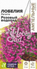Цветы Лобелия Регатта Розовый Водопад ампельная (5 шт) Семена Алтая серия Ампельные Шедевры
