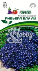 Цветы Лобелия Ривьера Блу Ай каскадная (10 шт) Партнер 