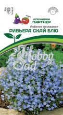 Цветы Лобелия Ривьера Скай Блю каскадная (10 шт) Партнер 