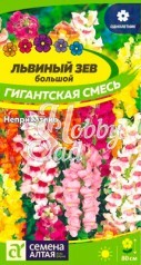 Цветы Львиный зев Гигантская смесь (0,2 г) Семена Алтая
