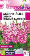 Цветы Львиный зев Снэппи Розовый фламинго (7 шт) Семена Алтая