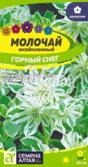 Цветы Молочай Горный снег окаймленный (0,5) Семена Алтая