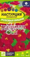 Цветы Настурция Розовая вишня низкорослая (1 гр) Семена Алтая