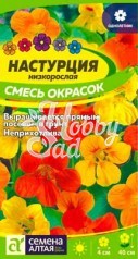 Цветы Настурция Смесь Окрасок низкорослая (1 гр) Семена Алтая 