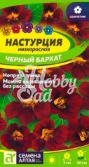 Цветы Настурция Черный Бархат низкорослая (0,5 г) Семена Алтая серия 