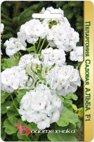 Цветы Пеларгония Альба F1 садовая (5 шт) Биотехника