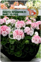 Цветы Пеларгония Пинто Премиум F1 Вайт то Роз садовая (5 шт) Биотехника