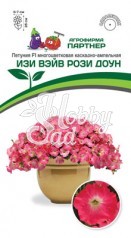 Цветы Петуния "Изи Вэйв" Рози Доун F1 каскадно-ампельная (5 шт) Партнер