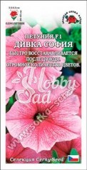 Цветы Петуния Дивка София F1 (10 шт) Сотка