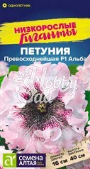 Цветы Петуния Превосходнейшая F1 Альба (7 шт) Семена Алтая Низкорослые гиганты