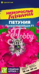 Цветы Петуния Превосходнейшая Бордовая (10 шт) Семена Алтая Низкорослые гиганты