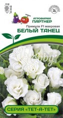 Цветы Примула "Тет-а-тет" Белый Танец F1 (5 шт) Партнер
