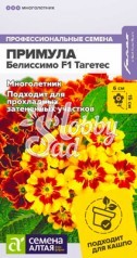 Цветы Примула Белиссимо F1 Тагетес (5 шт) Семена Алтая