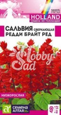 Цветы Сальвия Редди Брайт Ред сверкающая (5 шт) Семена Алтая