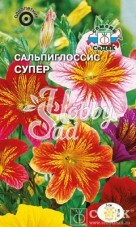 Цветы Сальпиглоссис Супер (0,1 г) Седек