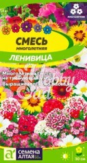 Цветы Смесь Ленивица многолетняя низкая (0,3 г) Семена Алтая