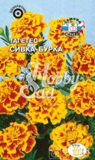 Цветы Тагетес Сивка-Бурка (0,2 г) Седек