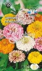 Цветы Цинния Пенелопа (0,2 г) Седек