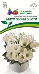 Цветы Эустома МИСС ЭБОНИ БЬЮТИ F1 карликовая (5шт в амп) Партнер