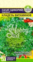Салат Эндивий Целебный букет (0,5 гр) Семена Алтая 