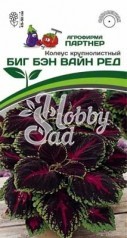Цветы Колеус Биг Бэн Вайн Ред шлемниковидный (5 шт) Партнер НОВИНКА 2024