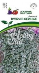 Цветы Дихондра КУДРИ В СЕРЕБРЕ серебристая (4шт в амп) Партнер НОВИНКА 2024