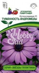 Цветы Остеоспермум F1 "Звезды Галактики" Туманность Андромеды (3 шт в амп) Партнер НОВИНКА 2024