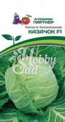 Капуста Казачок F1 белокочанная раннеспелая (0.3 г) Партнер НОВИНКА 2024