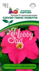 Цветы Петуния "Пейзажная" Сауэр Пинк Роялти F1кустовая крупноцветковая (10 шт) Партнер НОВИНКА 2024