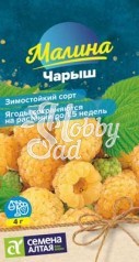 Малина Чарыш желтая (0,03 г) Семена Алтая НОВИНКА