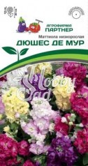 Цветы Маттиола Дюшес де Мур низкорослая (10шт) 2-ной пак Партнер НОВИНКА 2024