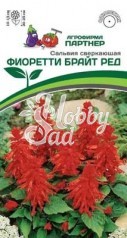 Цветы Сальвия сверкающая Фиоретти Брайт Ред^(10шт в амп) Партнер НОВИНКА 2024