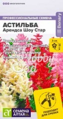 Цветы Астильба Арендса Шоу Стар (3 шт) Семена Алтая