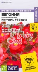 Цветы Бегония Коктейль F1 Водка вечноцветущая (5 шт) Семена Алтая НОВИНКА!