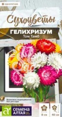 Цветы Гелихризум Том Тамб (0,2 г) Семена Алтая