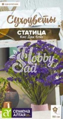Цветы Статица Кис Дак блю (7 шт) Семена Алтая Сухоцветы НОВИНКА !