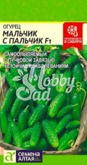 Огурец Мальчик-с-пальчик F1 (5 шт) Семена Алтая