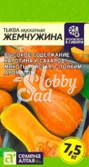 Тыква Жемчужина Мускатная (2 г) Семена Алтая