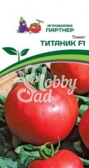 Томат Титаник F1 (2-ной пакет) (10 шт) Партнер НОВИНКА 2024