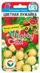 Земляника Цветная лужайка смесь (10 шт) Сибирский Сад НОВИНКА!
