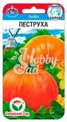 Тыква Пеструха (5 шт) Сибирский Сад НОВИНКА!