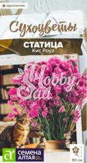Цветы Статица Кис Роуз (7 шт) Семена Алтая Сухоцветы НОВИНКА!
