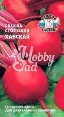 Свекла Хавская (столовая) (3 г) Седек