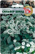 Цветы Плектрантус Сильвер Шилд (5 шт) Биотехника НОВИНКА 2025