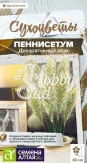 Цветы Пеннисетум мохнатый злак декоративный (5шт) Семена Алтая Сухоцветы НОВИНКА