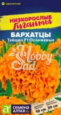 Цветы Бархатцы Тайшан F1 Оранжевые (5 шт) Семена Алтая серия Низкорослые Гиганты